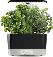 Load image into Gallery viewer, AeroGarden Harvest with Gourmet Herb Seed Pod Kit - Hydroponic Indoor Garden, Black