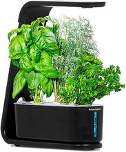 Load image into Gallery viewer, AeroGarden Sprout with Gourmet Herbs Seed Pod Kit - Hydroponic Indoor Garden, Black
