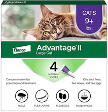 Load image into Gallery viewer, Advantage II Large Cat Vet-Recommended Flea Treatment &amp; Prevention | Cats Over 9 lbs. | 4-Month Supply